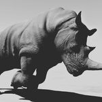 Profile Picture of Joseph Santoro-Ballota (@chargingthroughlife) on Instagram