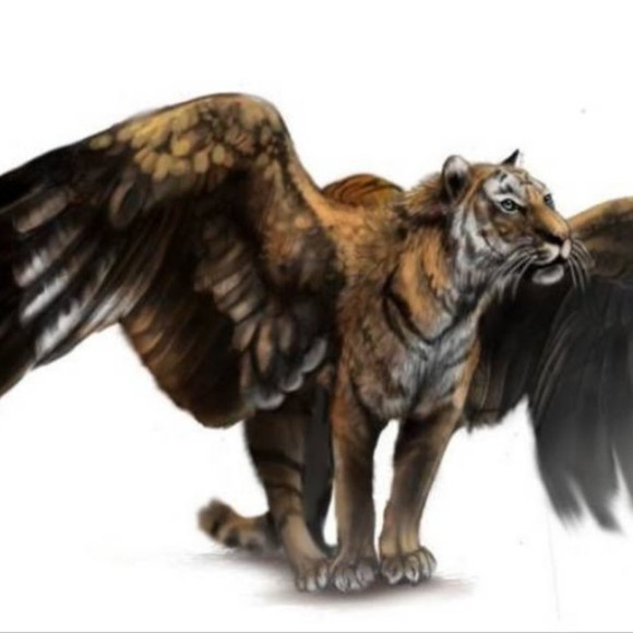 Profile Picture of Johnny Feltham (@johnnyfeltham) on Poshmark