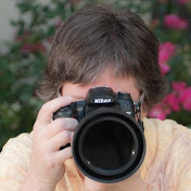 Profile Picture of Susan Sinclair (@smang5477) on Youtube