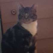 Profile Picture of Danielle Conway (@danielleconway6628) on Youtube