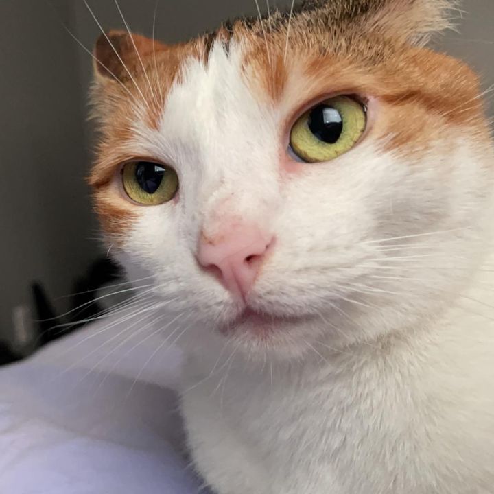 Profile Picture of Jhetzer12 (@justinhetzer4) on Tiktok