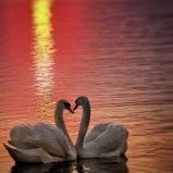 Profile Picture of Malabika Chatterjee (@MalabikaChatte4) on Twitter