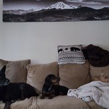 Profile Picture of Skye McLeod (@skyekmcleod) on Twitter