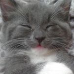 Heather Atkinson Leonard - Instagram Profile Picture of Heather Atkinson Leonard (@writetohev) on Instagram