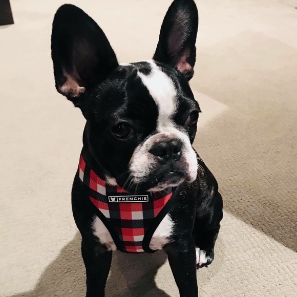 Profile Picture of Lisa Wheeler (@90bentley26) on Poshmark