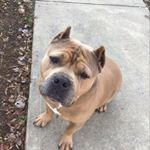 Profile Picture of Trista Bailey (@trista_bailey12) on Instagram