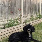 Profile Picture of Lisa Rutherford (@lisa.rutherford.9250) on Facebook