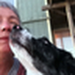 Profile Picture of Cathy Kiffney (@cathy kiffney studio) on Flickr