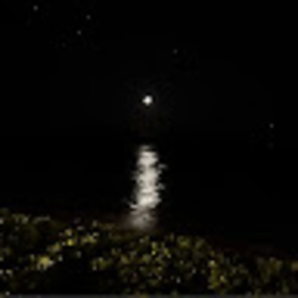 Zeke Zeke - Poshmark Profile Picture of Zeke Zeke (@zekegobel) on Poshmark