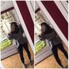 Profile Picture of Anna Staudt (@@annastaudt) on Tiktok