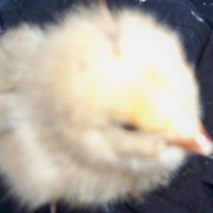 Profile Picture of George Hi (@gergielol) on Myspace