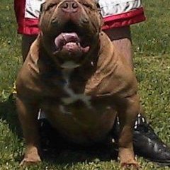 Profile Picture of Eric Mason (@EricMas08774100) on Twitter