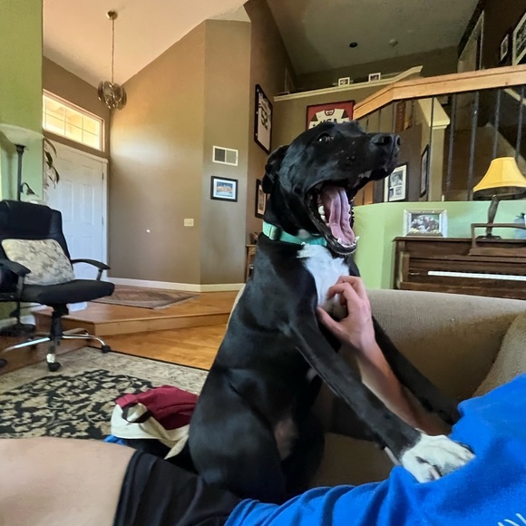 Jack Josten - Poshmark Profile Picture of Jack Josten (@batmanusbae117) on Poshmark