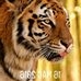 Profile Picture of Lorenzo Palma (@lorenzo.palma.10690) on Facebook