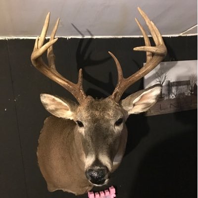 Profile Picture of Brandon Farnsworth (@TheFarns22) on Twitter