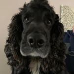 Profile Picture of Darren Carter (@darrencarter1312) on Instagram