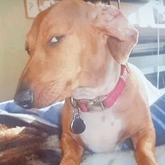 Profile Picture of chrishaverkamp25 (@chrishaverkamp25) on Tiktok