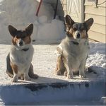 Profile Picture of Derek Hosier (@dhosier67) on Instagram