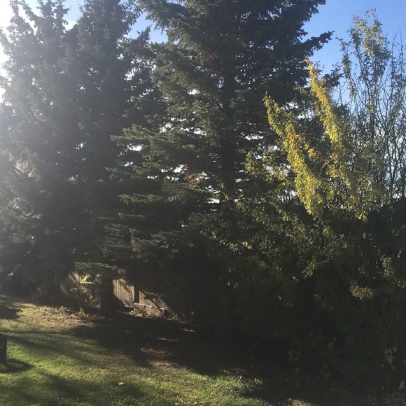 Profile Picture of Neal Jackson (@neal13537) on Poshmark