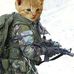 Profile Picture of Aoki Net (@mex.flash.5) on Facebook