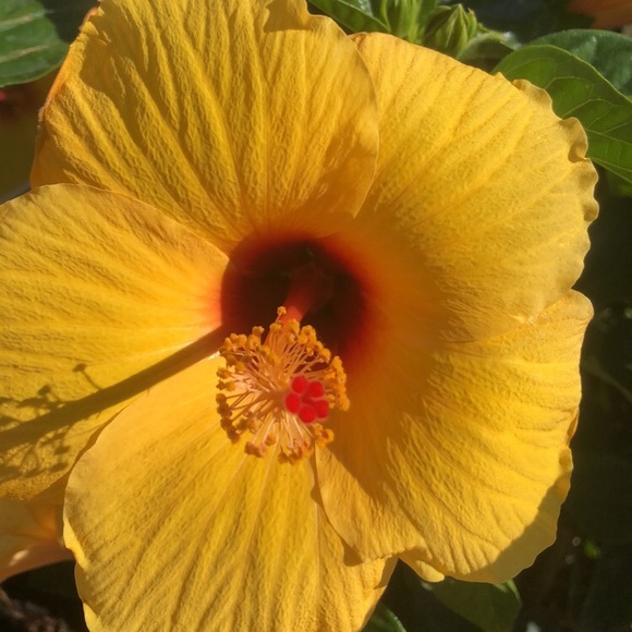 Profile Picture of Kyleigh Wynkoop (@k24wlei) on Poshmark