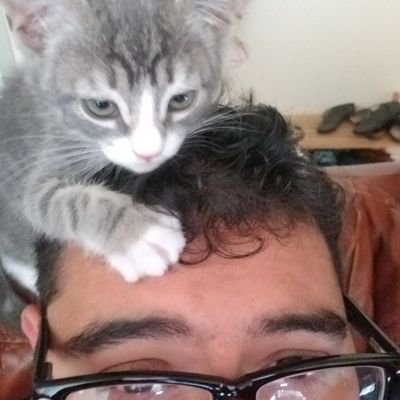 Profile Picture of Albert Elias (@Stolen_Rage) on Twitter