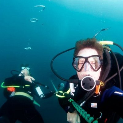 David Todd - Twitter Profile Picture of David Todd (@aquafiles) on Twitter