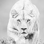 Profile Picture of KT (@kennytillman27) on Instagram