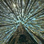 Profile Picture of تنهاترین دل کوک (@tarabestaan) on Instagram