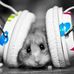 Profile Picture of David Polonsky (@david.polonsky.378) on Facebook