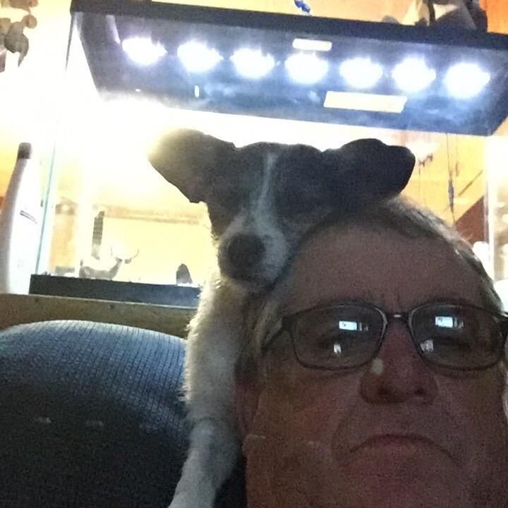 Profile Picture of Daniel (@cooneye60) on Tiktok