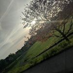 Profile Picture of Rebecca Tipton's art account (@rebecca_tiptonartaccount) on Instagram
