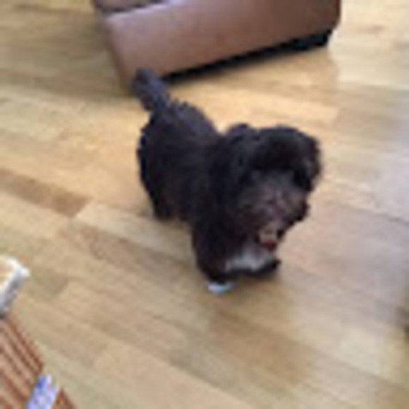 Profile Picture of Chloe Hozjan (@acadchloe4) on Poshmark