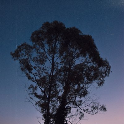 Profile Picture of John´s Self Doubt (@Johns_selfdoubt) on Twitter