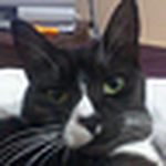 Profile Picture of Richard Malcolm-smith (@richms.com) on Flickr