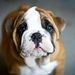 Profile Picture of Norma Waggoner (@bigtoecp) on Pinterest
