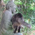 Profile Picture of Kenneth Bulmer (@kennethbulmer) on Instagram