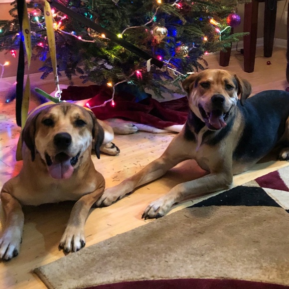 Profile Picture of Angela Mockobee (@amock27) on Poshmark