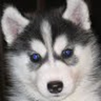 Profile Picture of Lucia Patino (@lucia-patino-1) on Quora