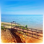 Profile Picture of Kevin Grandison (@pathoolex) on Instagram