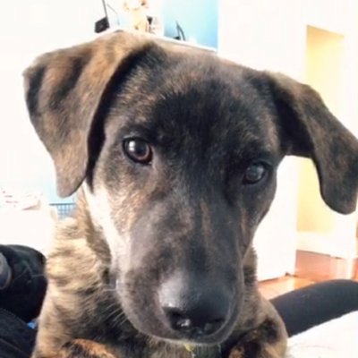 Profile Picture of Lisa Smith (@Lisadobbin4) on Twitter