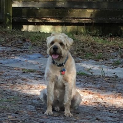 Profile Picture of Sherry Gregory (@SherryGregory20) on Twitter