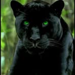 Profile Picture of Ivan Samudio (@ivan.samudio.619127) on Facebook