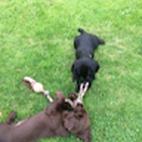 Profile Picture of Amelia Hogg (@amelia-hogg-4) on Quora