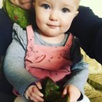 Profile Picture of Kelly Horton (@kellymayzing) on Instagram