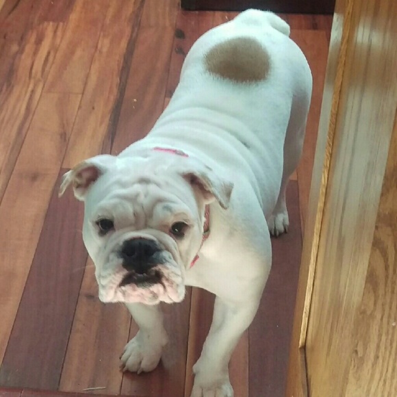 Profile Picture of Valya Polanski (@polanskivf) on Poshmark