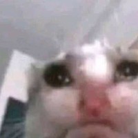 Profile Picture of Sofia Andrade (@sofia-andrade-50) on Quora