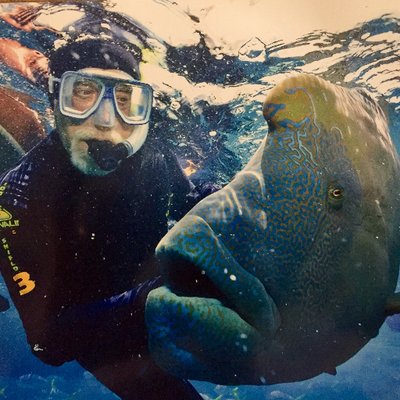 Profile Picture of Jerome M. Hirsch (@jeromemhirsch) on Twitter