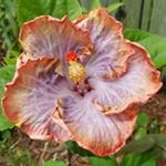 Profile Picture of Paula Vrana (@paula.vrana) on Instagram