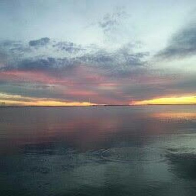 Profile Picture of Marlene Gallagher (@mgallagher0807) on Twitter